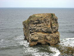 Figure 6.  Marsden Rock